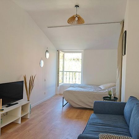 Appartamento Cosy Studio - Heart Of Millau Esterno foto